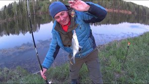 Ловля Леща на Донку.Первый выезд на Леща 2022 года.