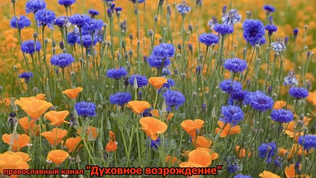 Смирение - есть соль добродетелей .Филарет Московский. смотреть онлайн