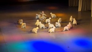 Булжамуур Веселые барашки