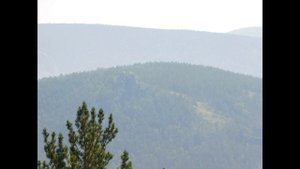 Красноярск. Красноярские столбы. Путешествие на авто