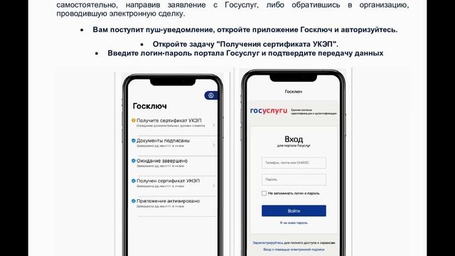 Госключ. Инструкция по применению