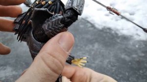 Обзор фигурки Celtic Predator NECA