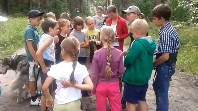 как бегать с собаками смотреть онлайн