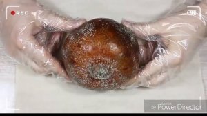 Зуб Пролежал в Кока Коле 5 лет. Что Стало с Желе Из Кока Колы После Года Хранения?