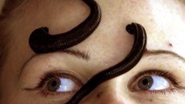 До чего доводит стремление к красоте! смотреть онлайн