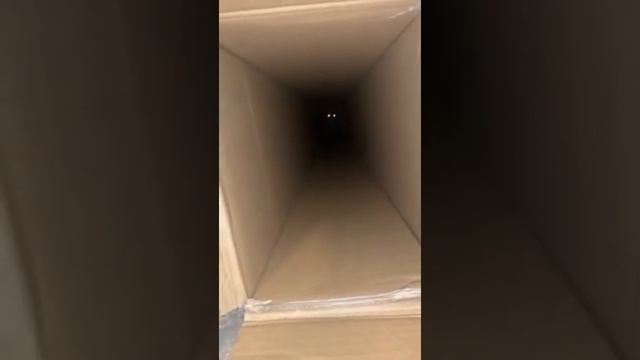 Если свет в конце туннеля, то только такой.
