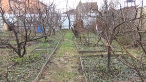 КОГДА ЛУЧШЕ ОБРЕЗАТЬ САД в Средней Полосе? ч. 1 Весенняя обрезка сада