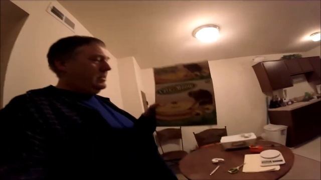 Cat's Meow cat toy смотреть онлайн