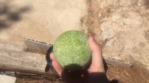 Чем отличается бочче от петанка? Как хорватские деды играют в шары.