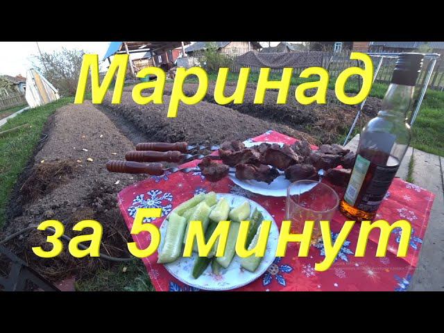 Самый быстрый маринад шашлыка за 5 минут. Суббота Выходной. Складной мангал и Шампура от «KOLUNDROV»