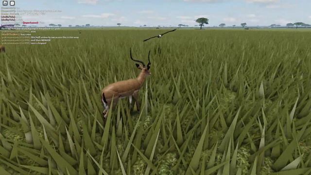 Short Impala Herd Survival! | Wild Savannah смотреть онлайн