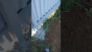 Стоимость забора из профлиста и красивые ворота