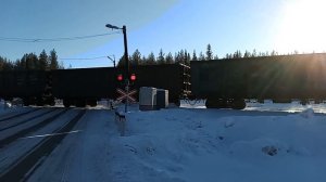 Тепловоз 2ТЭ116У с грузовым поездом в сторону Ковдора(Видео из 2022 года)