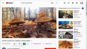 Как вставить видео в свой пост ВК. Учебное видео