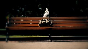 Антитеррор