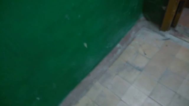 Что будет если погулять с собакой в 3 часа ночи смотреть онлайн