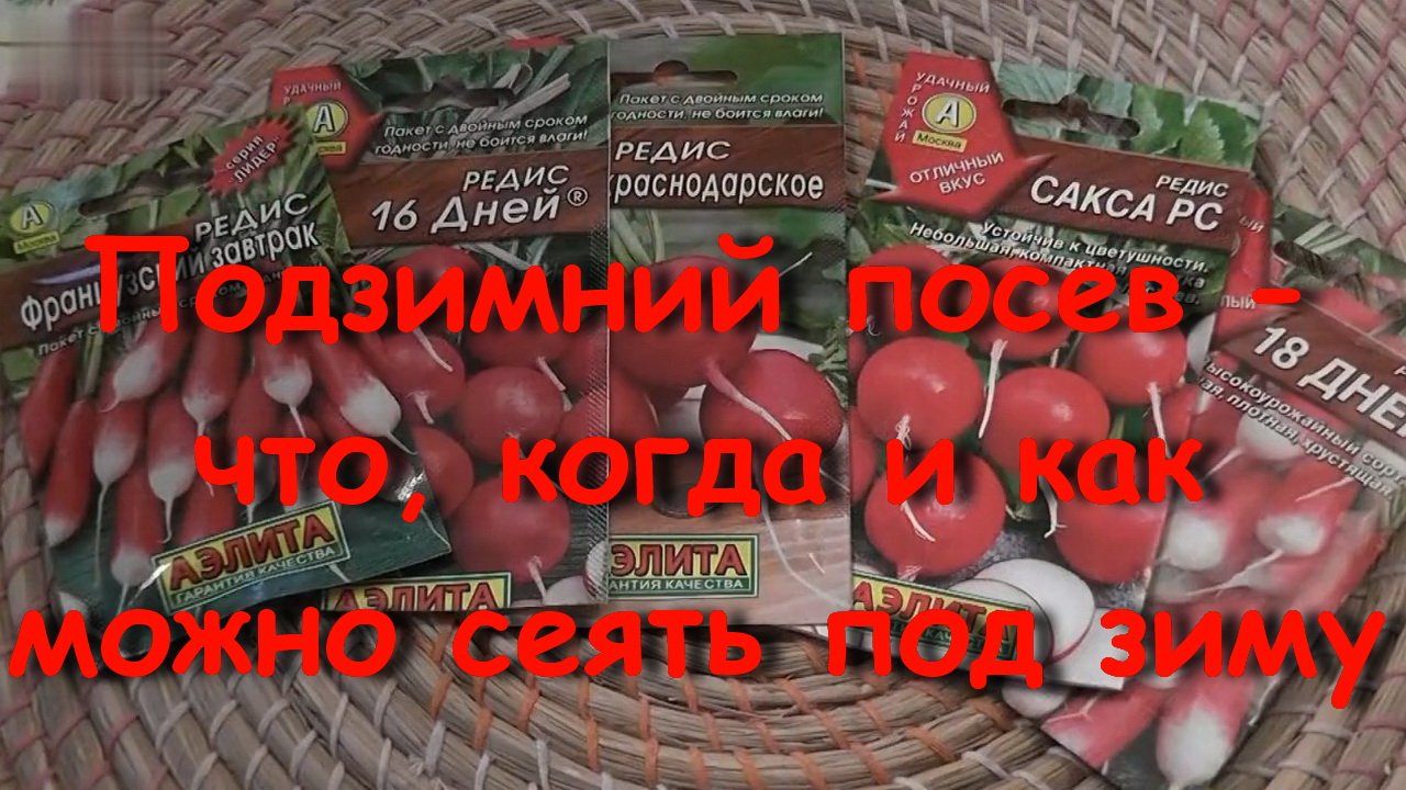 Подзимний посев - что, когда и как можно сеять под зиму