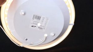 Настенно-потолочный светильник Сонекс 1203/L белый VASSA