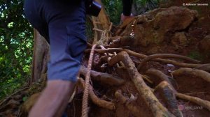 ОСТРОВ НОК | ТАИЛАНД