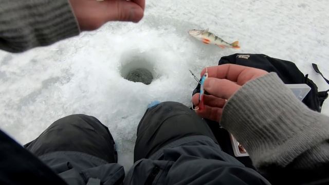 АФЕГЕННАЯ РЫБАЛКА НА ЖЕРЛИЦЫ!!! Зимняя рыбалка 2019. Судак, щука, окунь. Семейная рыбалка. смотреть онлайн