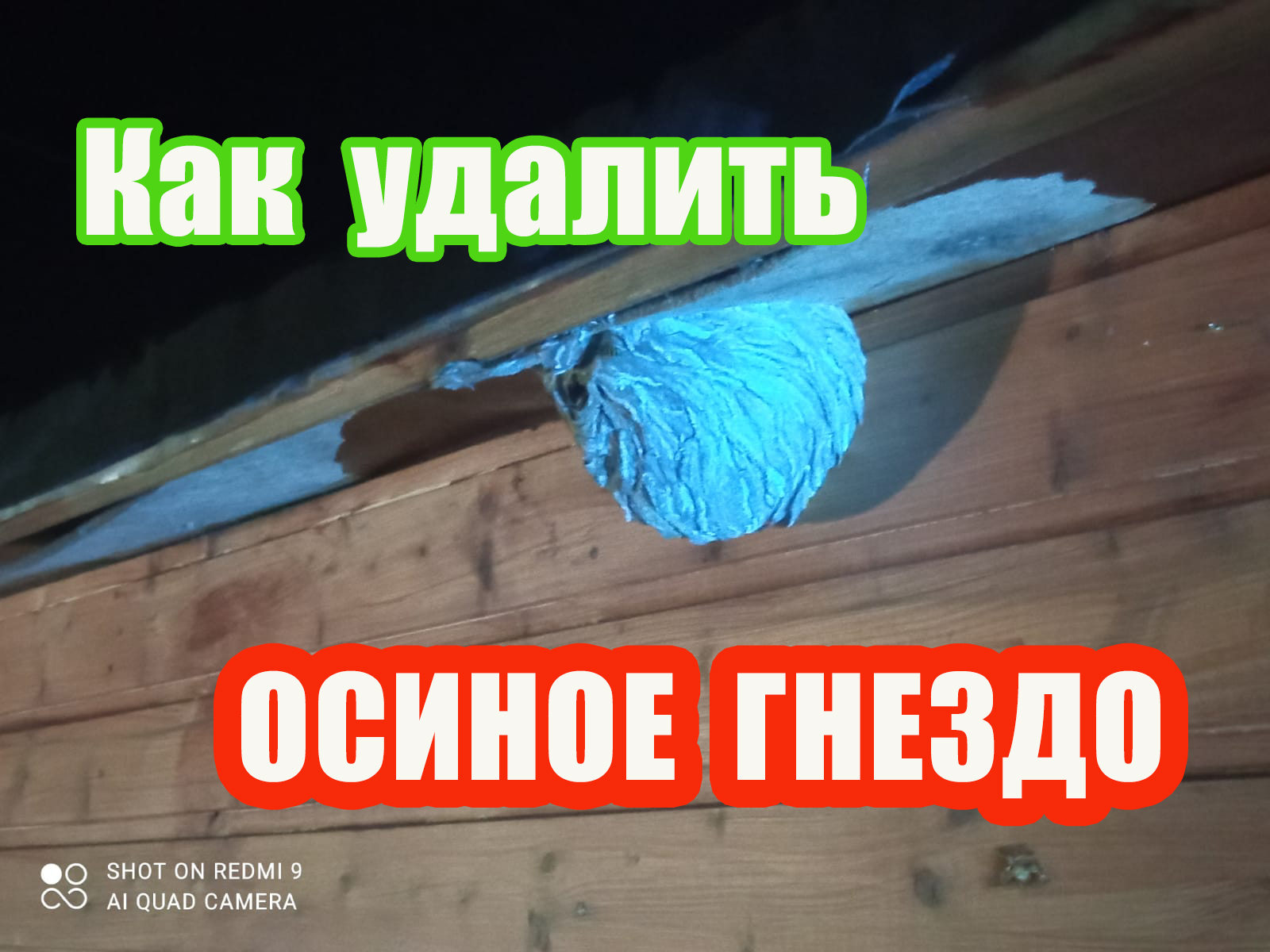 Как убрать осиное гнездо на балконе. Осиное гнездо. Как убрать осиное гнездо. Поддельное осиное гнездо. Осиное гнездо в трубе.