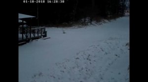 Лиса и Заяц 2018