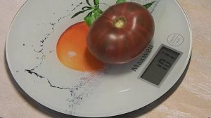 Томат Аделаида фестиваль гном. Тест зрелых плодов.