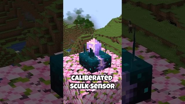 MINECRAFT 1.20 FEATURES IN ONE MINUTE! смотреть онлайн