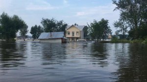 Более 300 домов подтоплены сейчас в Амурской области