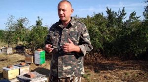 Качечство и долговечность пчеломаток ИО