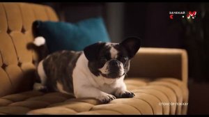 M1 - Реклама и анонсы (12.02.2022) #Реклама