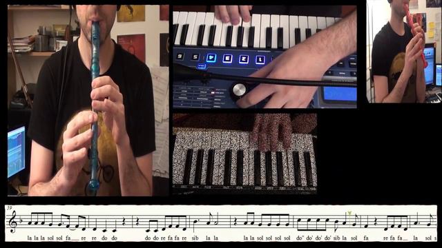 Somebody I used to Know - Recorder (flute) cover - Gotye - Carlos Rodríguez Parrón @carlosrpmusica смотреть онлайн