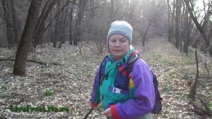 Съедобные лесные злаки - полевица и мятлик