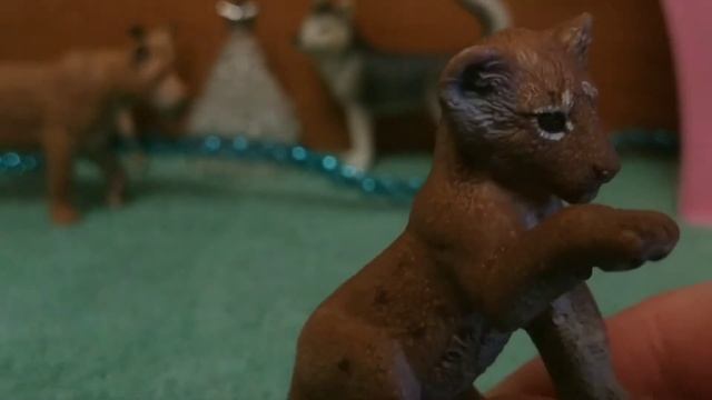 Обзор на моих диких кошек от Schleich ??