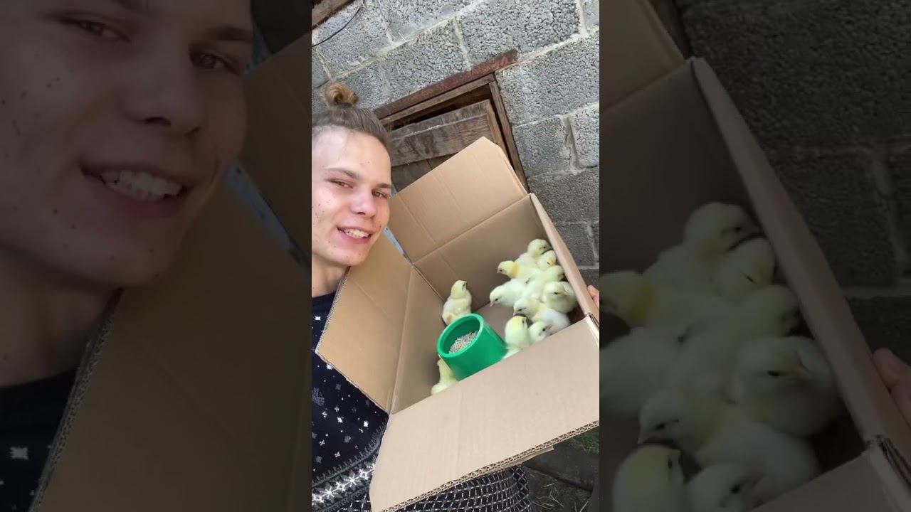 Выращиваю себе армию Командный строй готов ✅ смотреть онлайн