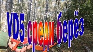 VD5 сравнение полёта с Mark4, XL7, Protek35 в березовом лесу Ч4