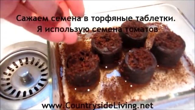 Торфяные таблетки для рассады инструкция