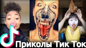 ? ЛУЧШИЕ ВИДЕО В TIKTOK // ТРЕНДЫ ТИК ТОК 2021? #4