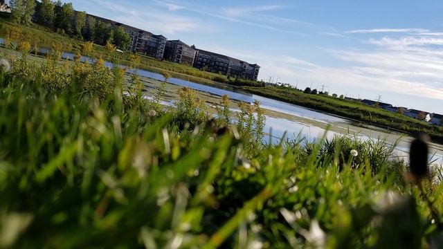 15 глава Книги Марка, 1 часть. ХП МИР НЕ БУМАЖНЫЙ. смотреть онлайн