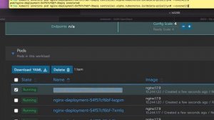 Delete Priority Annotation for Kubernetes ReplicaSet