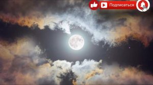 очень красивая грузинская песня