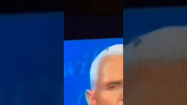 FLY LANDS ON MIKE PENCE'S HEAD