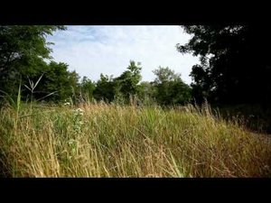 Георгиевск Природа