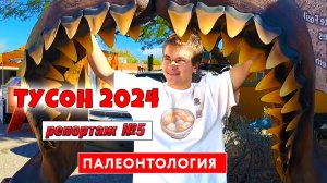 Роскошные палеонтологические экспонаты на ярмарке камней и минералов. Тусон 2024 ? Выпуск 5