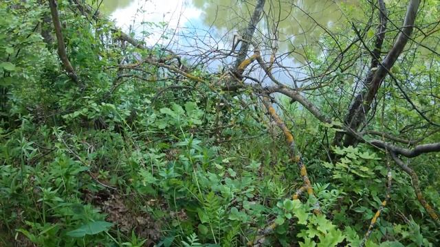 Сплав по реке Ворона. Большие Алабухи - Борисоглебск. смотреть онлайн