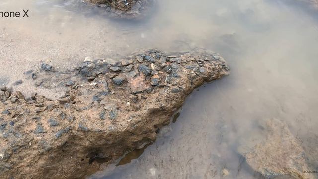 iPhone X vs iPhone XR - Which Should You Choose? смотреть онлайн