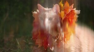 С Днём рождения ! Рождённые в Октябре !