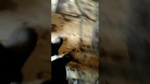 Мотоблок мкм