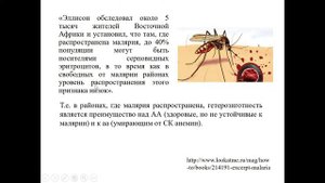 9  Сверхдоминирование