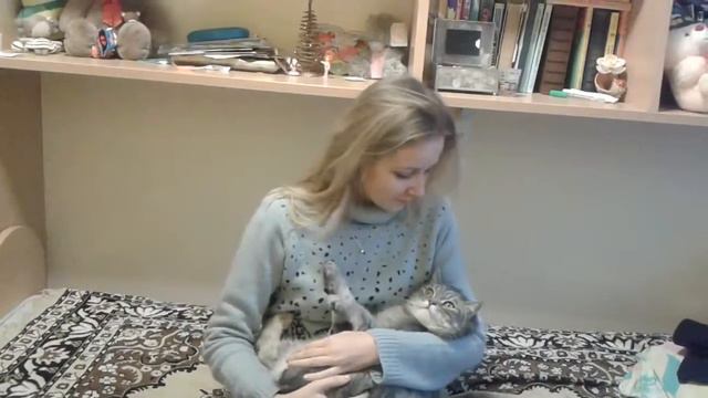 Колыбельная для настоящего мужчины смотреть онлайн